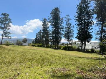 Terreno / Lote · 110m² · Terreno Venta Puembo Calle Jose Borja / Cerca a Colegios*msb*