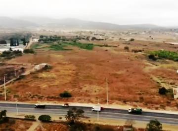 Terreno / Lote , Montecristi · En Venta Terreno 20.5 Hectáreas, Montecristi
