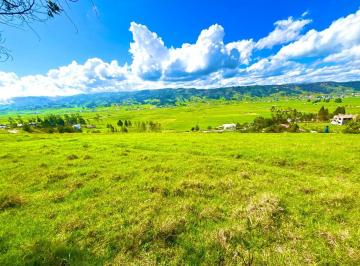 Terreno / Lote , Cuenca · Vendo Terreno en La Via Principal de Tarqui 16.100 m²