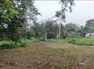 Terreno / Lote , Babahoyo · Se Vende Amplio Terreno en Montalvo Los Rios D. Aguiar