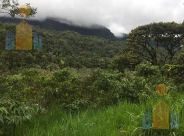 Terreno / Lote · 350000ha · Terreno en Veta en Mindo a 14 Km del Centro