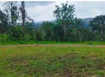 Terreno / Lote · 30000m² · San Miguel de Los Bancos Terreno de Venta