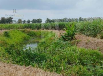 Terreno / Lote · 620000ha · 3 Habitaciones · Venta de Finca de Caña de Azúcar y Cacao en Naranjal Para Inversión Am