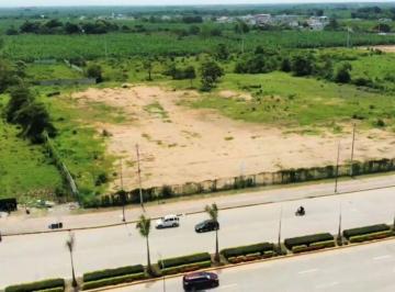 Terreno / Lote , Machala · En Venta Terreno 3.5 Hectáreas, Machala - J. Zavala