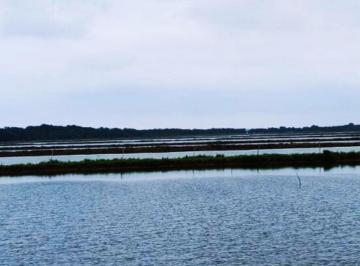 Terreno / Lote · 3720000ha · 12 Estacionamientos · Camaronera de 270 Ha de Venta