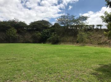 Terreno / Lote , Quito · Urbanizacion La Quinta Terreno de Venta 1064 m²