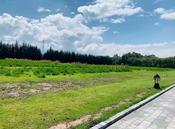 Terreno / Lote · 5002m² · Venta Terreno en Checa Cerca Al Polo Quito Club
