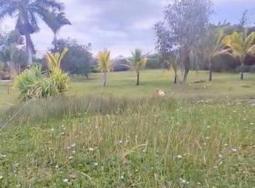 Terreno / Lote · 5000m² · Terreno Exclusivo en Venta 5.000 m² Lotizable La Atalaya - Yunguilla
