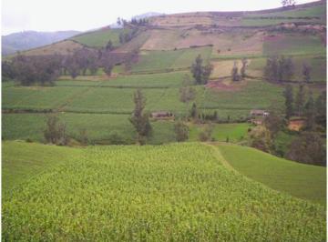 Hacienda-Quinta · 1400000m² · 4 Habitaciones · 5 Estacionamientos · Venta de Hacienda Machachi Aloasi El Corazón Vista Al Cotopaxi