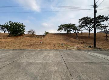 Terreno / Lote , Daule · Venta Terreno Multifamiliar con Diseño Panorámico en Urbanización Vicolinci - I. Alarcón
