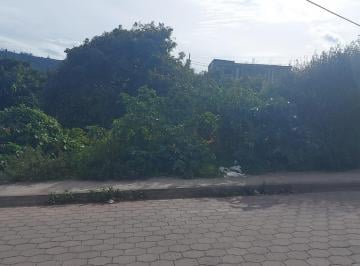 Terreno / Lote · 449m² · Terreno - en Venta - Patate - 449 m²