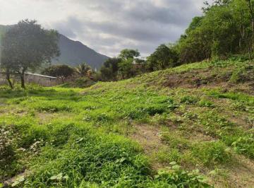 Terreno / Lote · 1000m² · Terreno 1000 m en La Vía de Montecristi Portoviejo Asantos