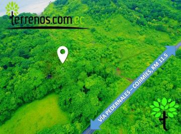 Terreno / Lote · 6300m² · Terreno de Venta en Vía Cojimíes 6.300 m², Sector Surrones