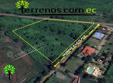 Terreno / Lote · 8440m² · Terreno en Terreno de Venta en Cojimíes 8.440 m², Vía Pedernales - Cojimíes