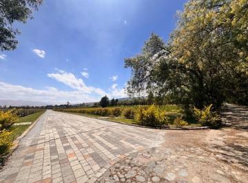 Terreno / Lote , Quito · Vendo 3 Lotes en Checa