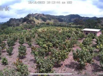 Hacienda-Quinta , Santa Ana · Finca 60 Ha en Santa Ana - Rio