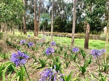 Terreno / Lote , Pedro Moncayo · Lote de Terreno 954 m² Tabacundo Dentro de Club Campestre