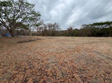 Terreno / Lote , Guayaquil · Venta Terreno– 11hectáreas – Sector Casas Viejas, Vía a La Costa Km 21 Guayaquil