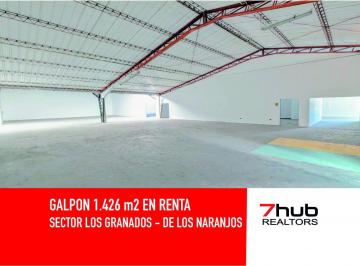 Bodega-Galpón · 1140m² · 15 Estacionamientos · Galpon en Renta 1426 m², de Los Naranjos, Sector Granadosn