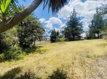 Terreno / Lote · 265m² · 3 Habitaciones · Terreno Independiente en Venta con Casa en Tumbaco