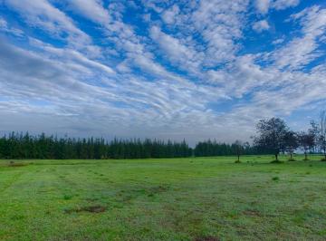 Terreno / Lote · 4565m² · Venta Terreno en Checa Cerca Al Polo Quito Club