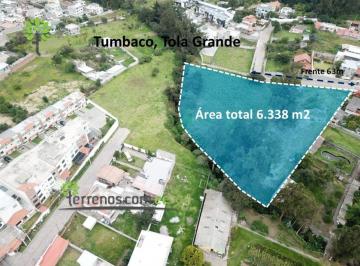 Terreno / Lote · 6338m² · Vendo Terreno 6338 m² Valle Cumbaya - Sector Tola Grande Tumbaco Proyecto Inmobiliario