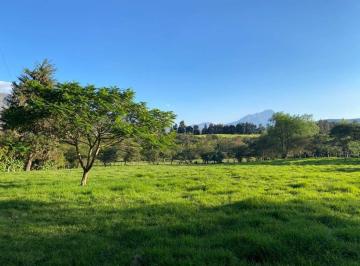 Hacienda-Quinta , San Miguel de Urcuquí · Hermosísima Propiedad en Salinas de Ibarra, Abundante Agua! 20 Hectáreas.
