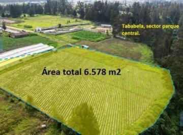 Terreno / Lote · 6578m² · Venta de Terreno 6.578 m², Tababela, Cerca Al Parque Central.