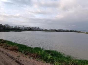 Hacienda-Quinta · 230000m² · Venta de Camaronera en Produccion - 23 Hectareras