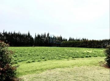 Terreno / Lote , Quito · Terreno de 9500 m² en Venta en Checa