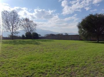Terreno / Lote · 2340m² · Vendo Terreno en Cumbaya Sector La Pampite