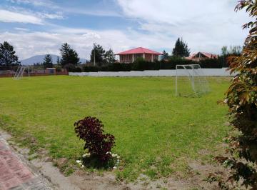 Terreno / Lote , Pedro Moncayo · En Venta Terreno Malchingui 906 Mt