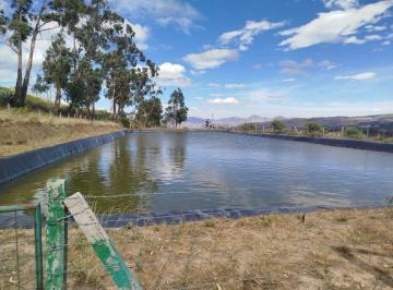 Terreno / Lote · 85000m² · Terreno en Venta Apto Para Flores