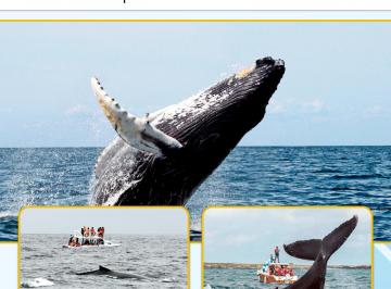 Terreno / Lote , Manta · Lotes Frente Al Mar en Puerto Cayo – Entrega Inmediata y Escritura Lista