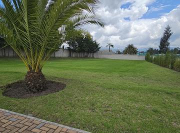 Terreno / Lote · 1404m² · Terreno de Venta en Puembo Dentro de Urbanización
