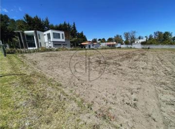 Terreno / Lote · 1250m² · Puembo Mangahuantag 1250 m² Terreno en Venta Urbanizacion Privada