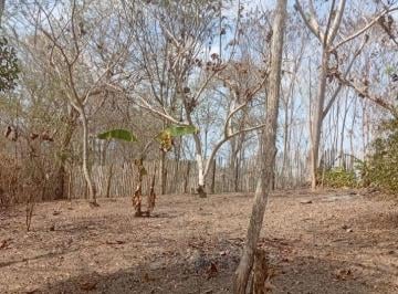 Terreno / Lote , Jama · Se Vende Propiedad Ubicada a 7 Minutos del Mar, en Playa "Don Juan" (Jama - Manabí)