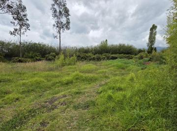 Terreno / Lote · 2500m² · Terreno en Renta de 2.500 m² – Puembo, Barrio San José – Usd 500 Mensuales