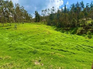 Hacienda-Quinta de 3 habitaciones, Cuenca · Vendo Hacienda de 30 Ha en Quingeo