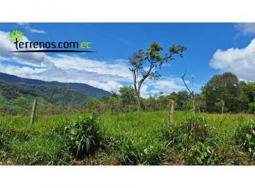 Terreno / Lote · 128000m² · Terreno de Venta 5 Ha, Sector El Cielito, Carchi