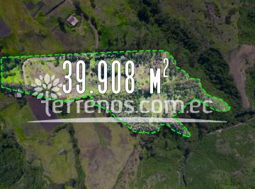Terreno / Lote · 39908m² · Terreno en Venta 3.9 Has El Inga. Cerca a La E35