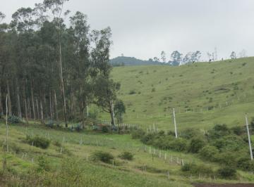 Terreno / Lote , Quito · Venta - Terreno - Yaruqui - Pichincha - San Jose - La Isla