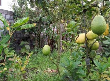 Terreno / Lote , San Pedro de Pelileo · Venta Lotes de Terreno Garcia Moreno Canton Pelileo Tungurahua