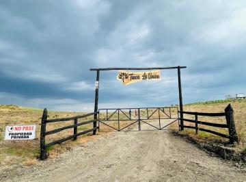 Hacienda-Quinta · 250000m² · Finca Agrícola 25.5 Hectáreas – Bajo Los Mates, Pedro Carbo