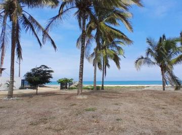 Terreno / Lote , Jama · Terreno 1 Hectárea Jama, Manabí_ Ideal Para Proyecto Turístico, Hotelero, Urbanizaciones. Pr:$