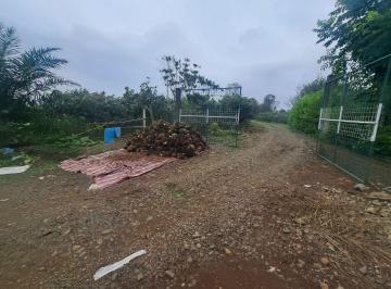 Hacienda-Quinta · 80000m² · Finca en Venta, Ventanas, Los Rios Aler