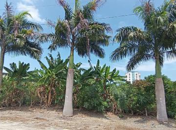 Terreno / Lote · 1800m² · Vendo Lindo Terreno de 1800 m² en Tonsupa, Av del Pacífico, Acepto Ofertas