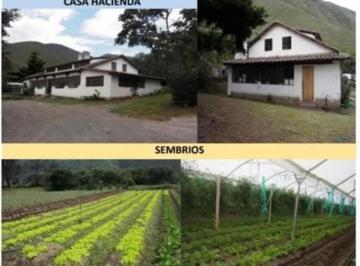 Hacienda-Quinta de 5 habitaciones, Quito · Se Vende Finca Productiva de 2,400 Ha