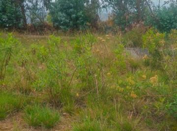 Terreno / Lote , Ambato · Terreno de Venta Sector Lampata 3500 m²