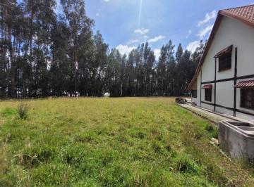 Terreno / Lote , Tabacundo · Propiedad en Venta en Tabacundo, Sector Tupigachi